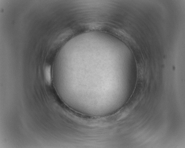 X0000070190028200606021108