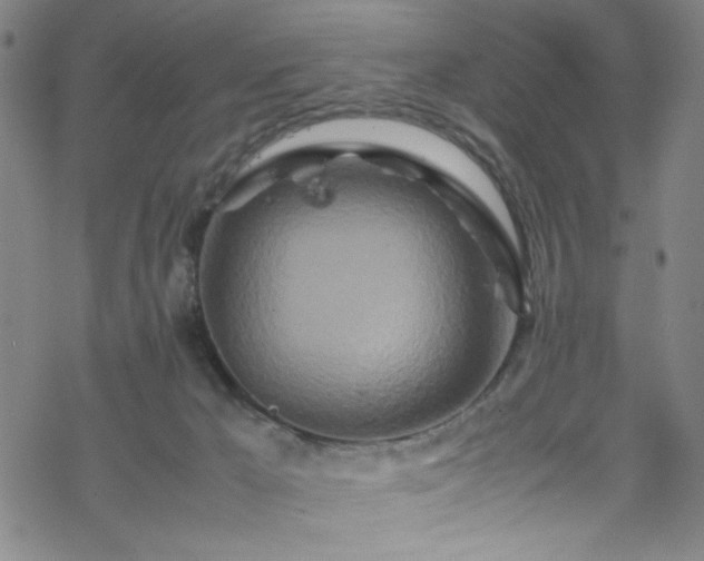 X0000070190029200606021108