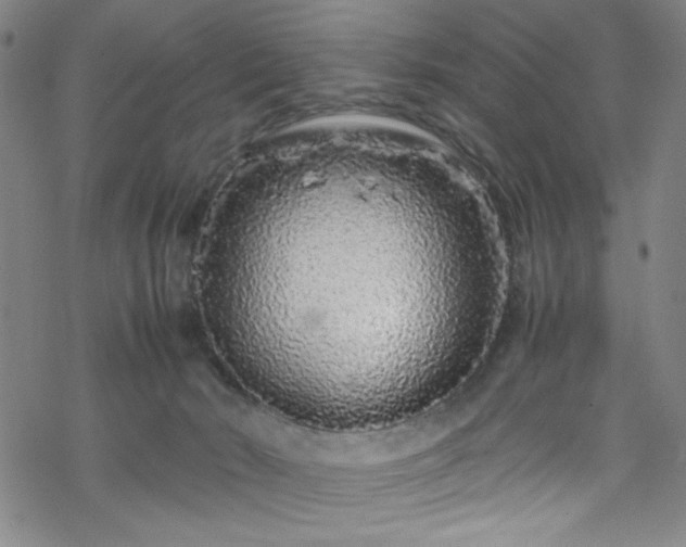 X0000070190030200606021108