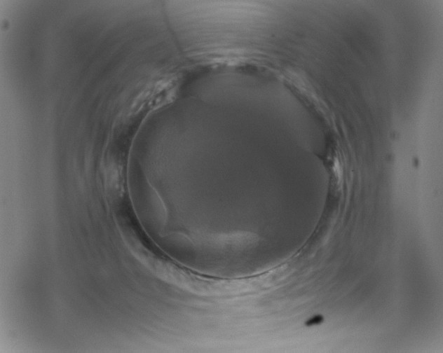 X0000070190031200606021108