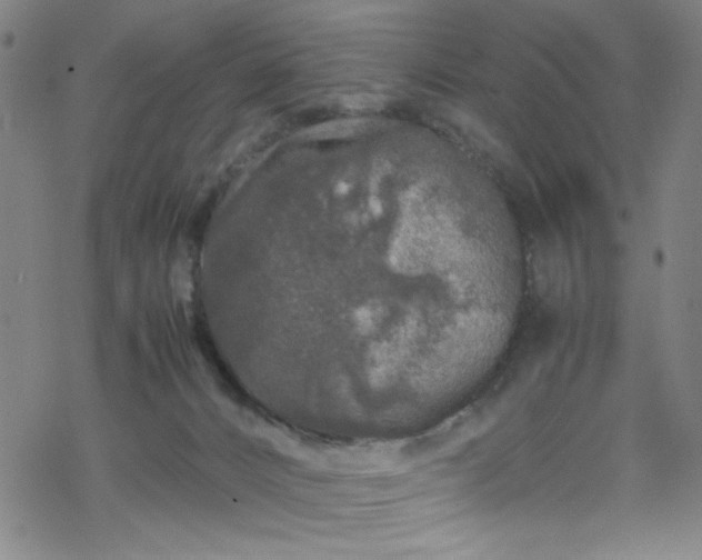 X0000070190032200606021108