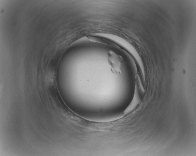 X0000070190033200606021108