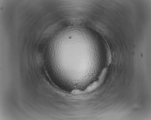 X0000070190034200606021108