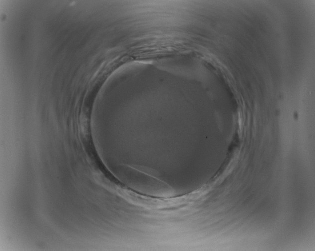 X0000070190035200606021108