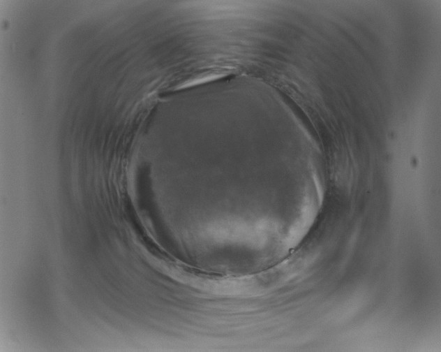 X0000070190036200606021108