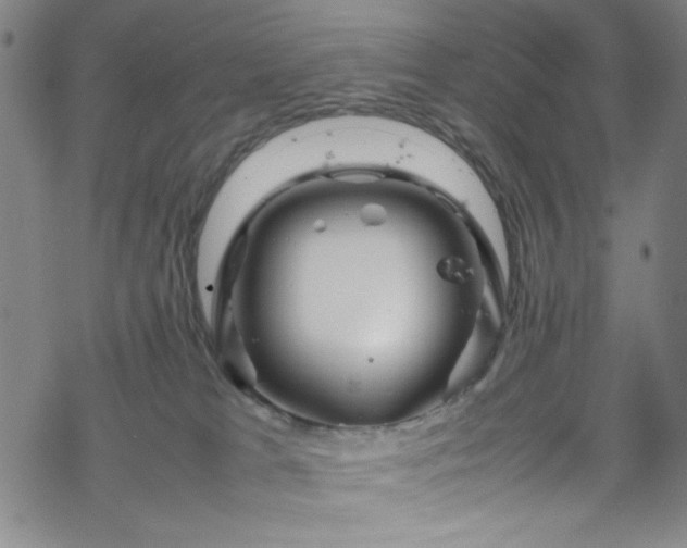 X0000070190037200606021108