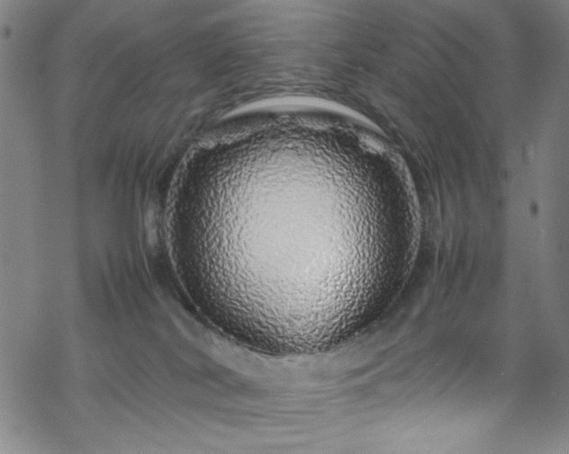 X0000070190038200606021108