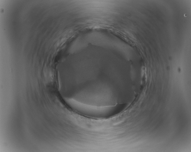 X0000070190039200606021108