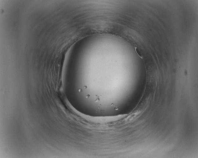 X0000070190040200606021108