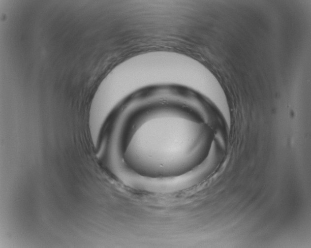 X0000070190041200606021108