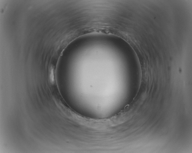 X0000070190042200606021108