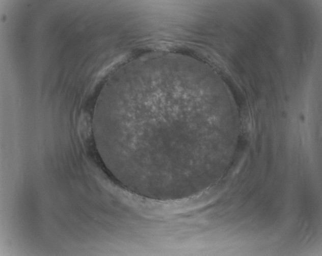 X0000070190043200606021108