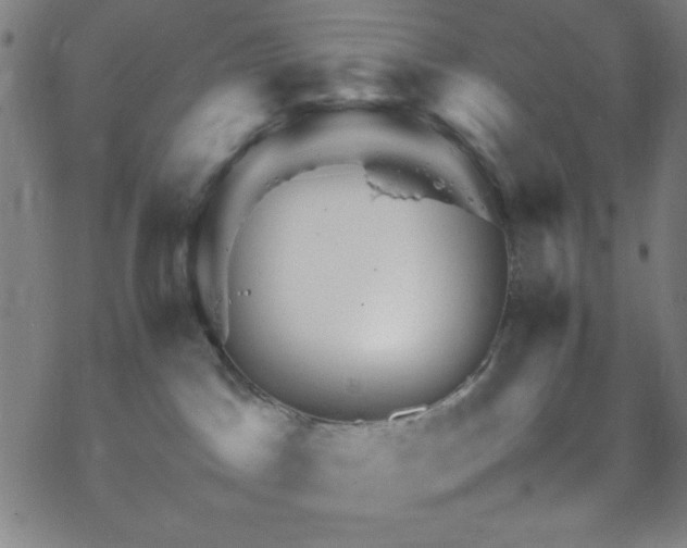 X0000070190045200606021108