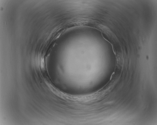 X0000070190046200606021108