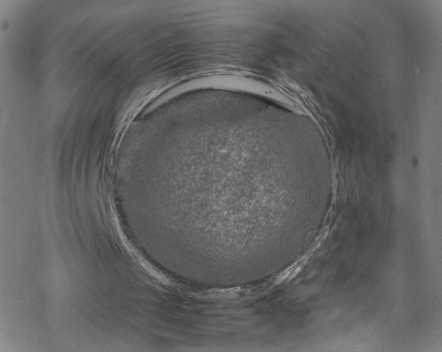 X0000070190049200606021107