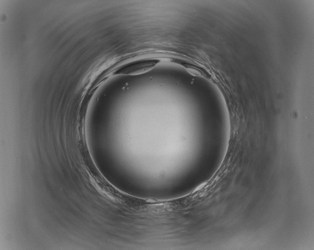 X0000070190050200606021107