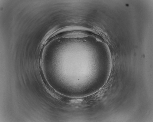 X0000070190051200606021107