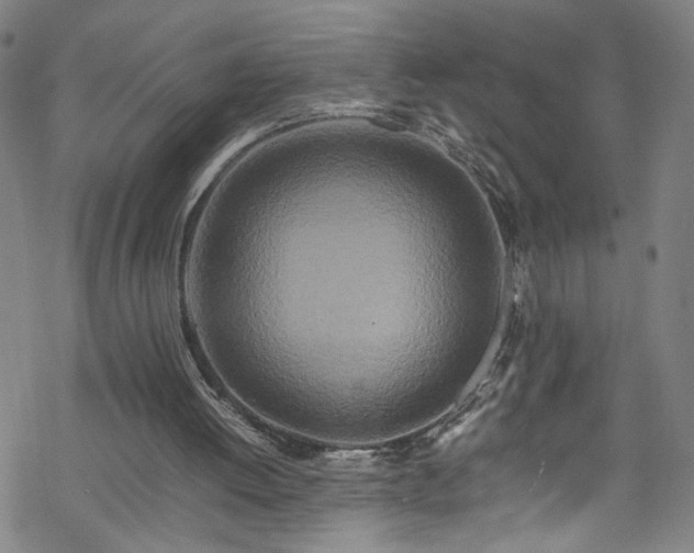 X0000070190052200606021107