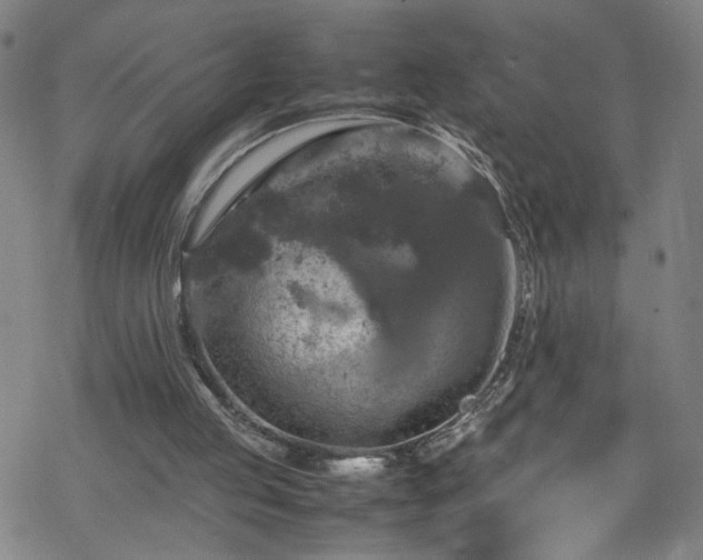 X0000070190053200606021107