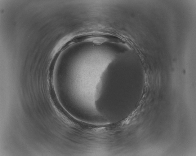 X0000070190054200606021107