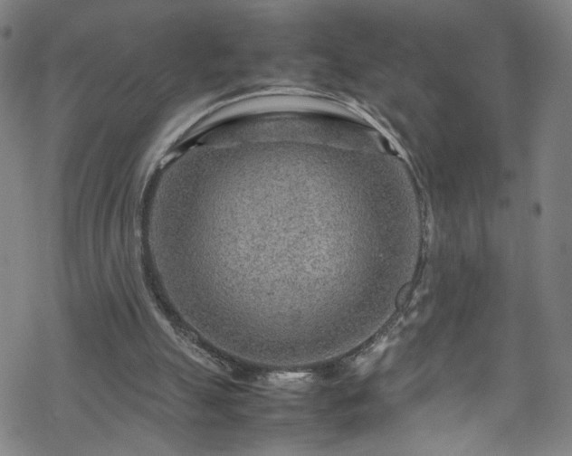 X0000070190055200606021107