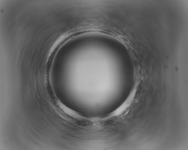 X0000070190056200606021107