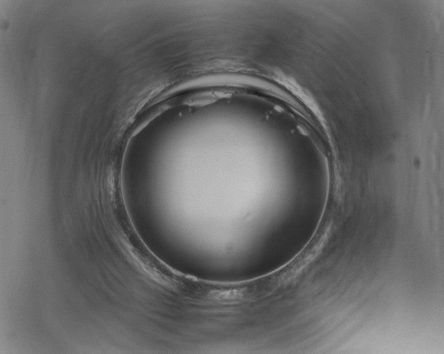 X0000070190057200606021107