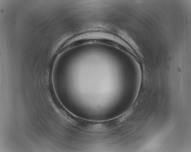 X0000070190058200606021107