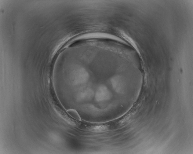 X0000070190059200606021107