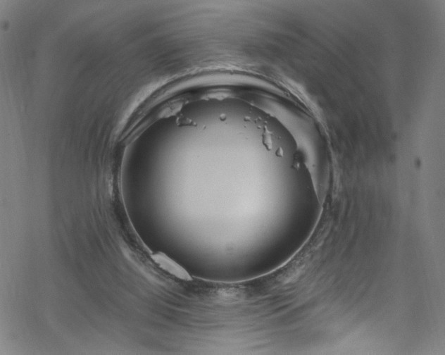 X0000070190060200606021107