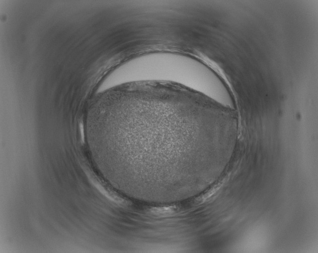 X0000070190061200606021107