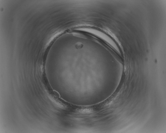 X0000070190063200606021108