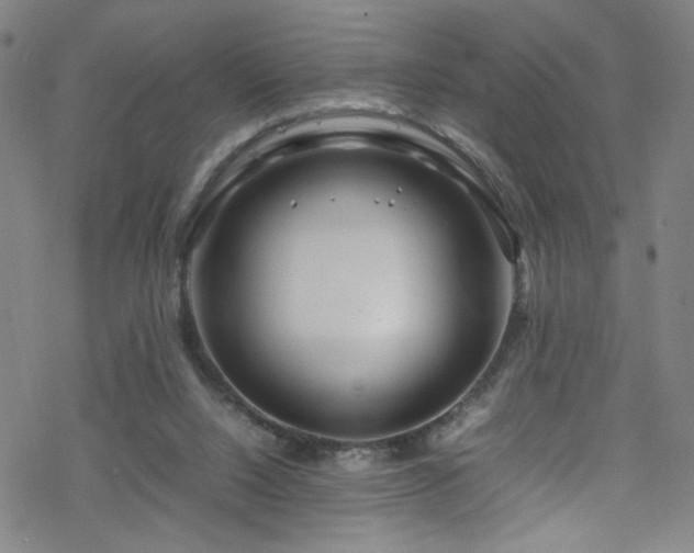 X0000070190064200606021108