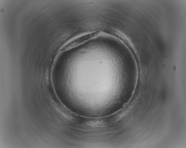 X0000070190065200606021108