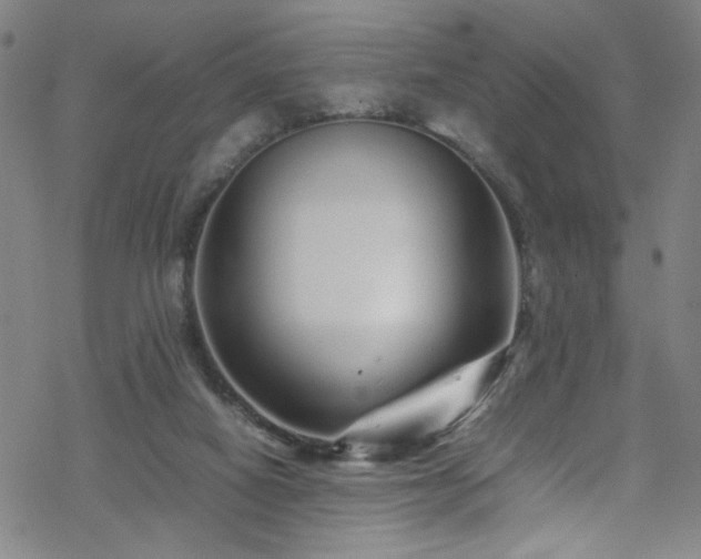 X0000070190066200606021108