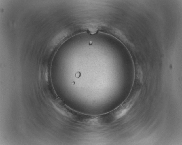 X0000070190068200606021108