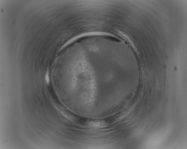 X0000070190069200606021108