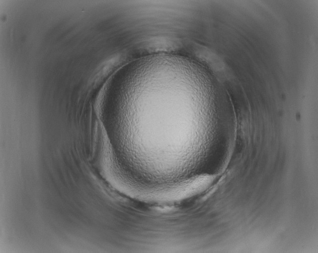 X0000070190070200606021108