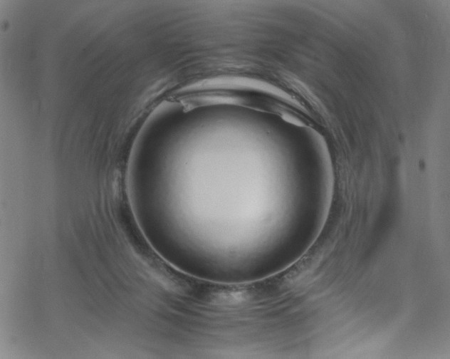 X0000070190071200606021108