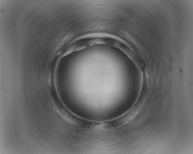 X0000070190072200606021108