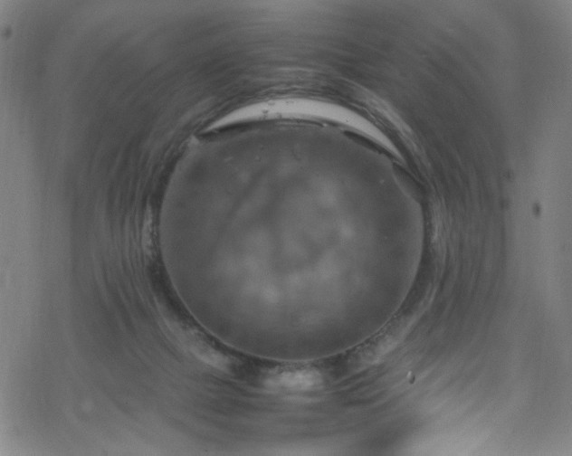 X0000070190073200606021108