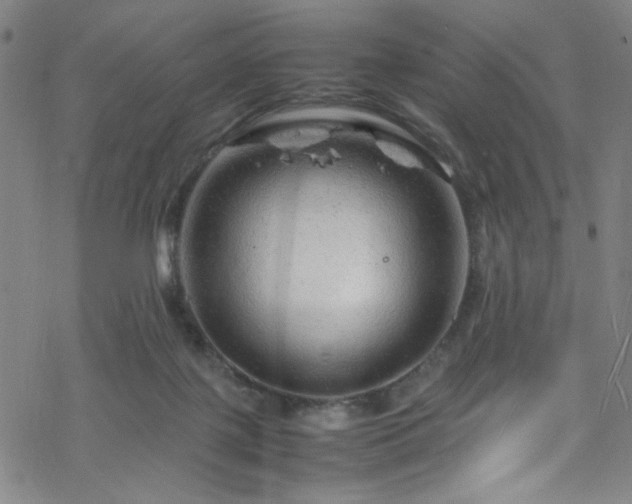 X0000070190075200606021108