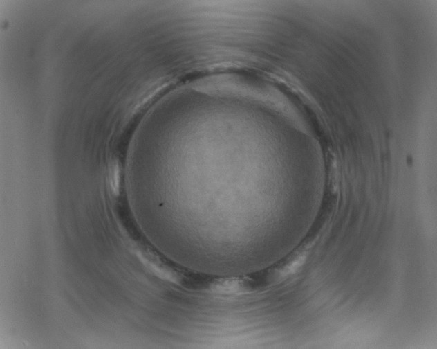 X0000070190076200606021108