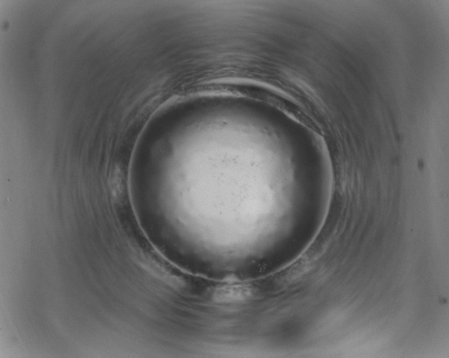 X0000070190077200606021108