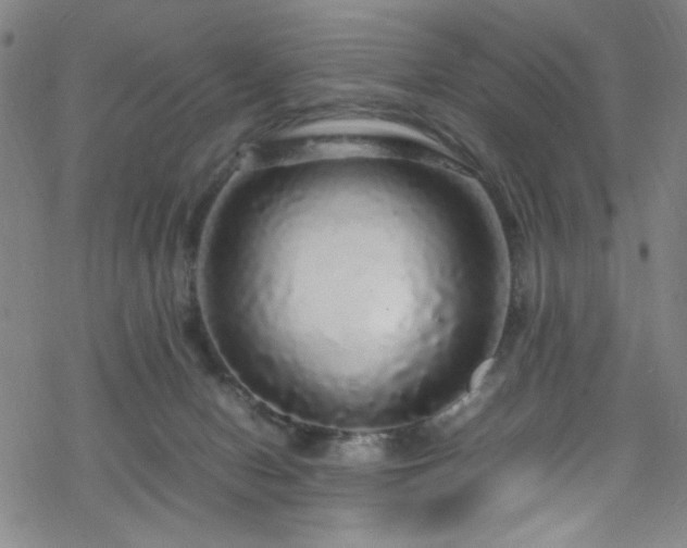 X0000070190078200606021108