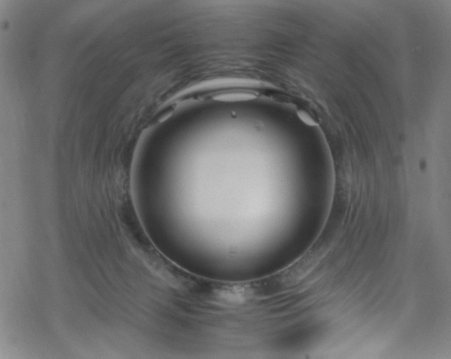 X0000070190079200606021108