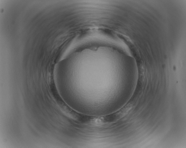 X0000070190080200606021108