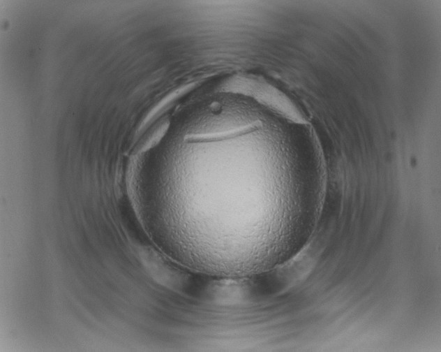 X0000070190082200606021108