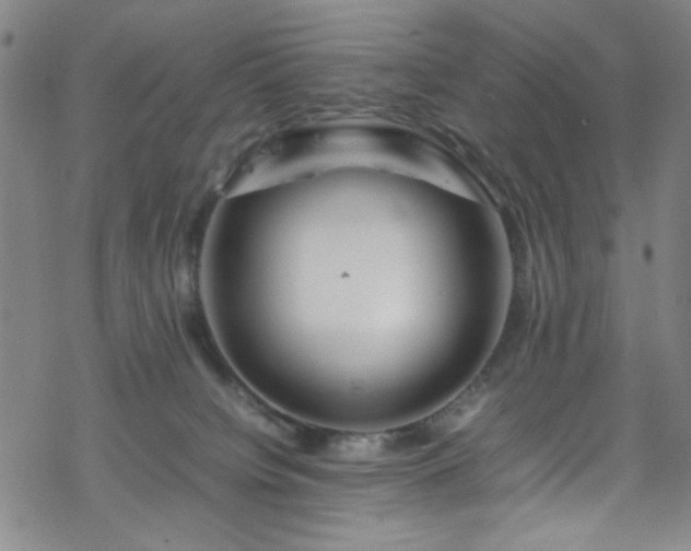 X0000070190084200606021108