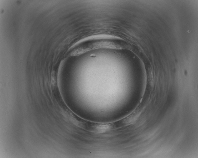 X0000070190085200606021108